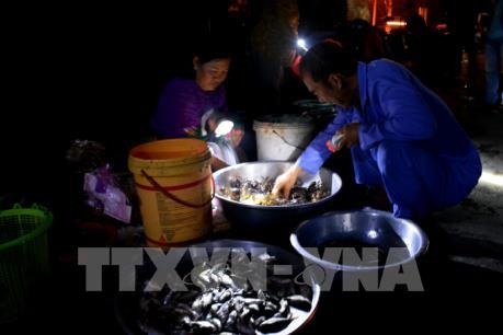 Sinh kế mùa nước nổi