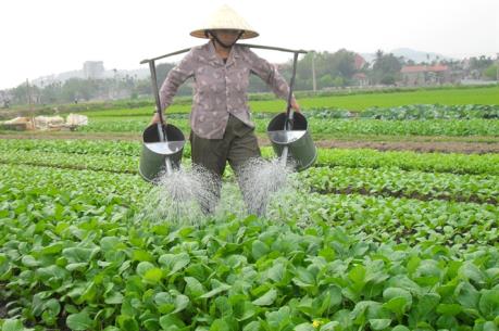 Thúc đẩy chế biến, tiêu thụ nông sản trong bối cảnh hội nhập