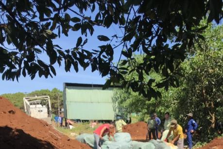 Gia Lai tiêu hủy lô hàng có giá trị 500 triệu đồng
