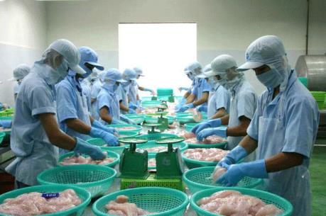 Lafooco lãi quý thứ 3 liên tiếp