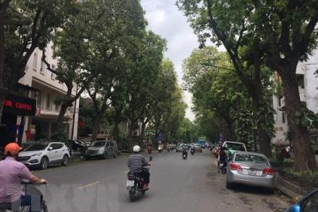 Hà Nội sẽ lựa chọn nhà thầu đủ năng lực để trang trí, bổ sung cây xanh