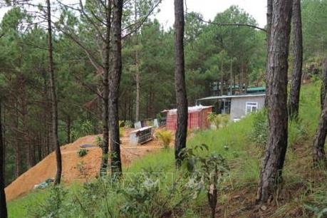 Lãnh đạo Phường 10, Đà Lạt khẳng định không có chuyện bảo kê xây nhà trái phép