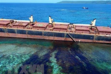 Brazil cấm đánh bắt tôm tại khu vực bị ảnh hưởng bởi sự cố tràn dầu