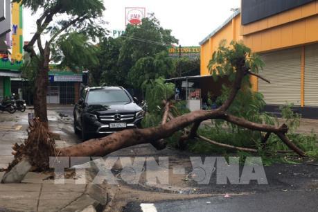 Bão số 5 gây mất điện trên diện rộng ở Phú Yên