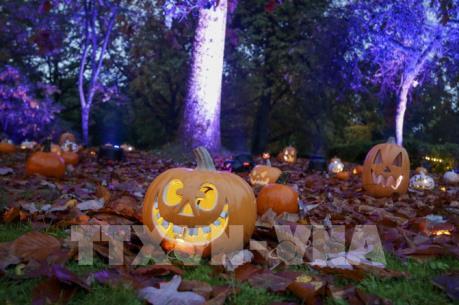 Bài toán "giải cứu" bí ngô và giảm rác nhựa sau Halloween