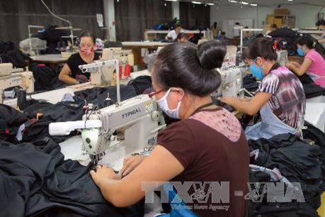 Lào Cai phấn đấu tỷ lệ lao động qua đào tạo đạt trên 65%