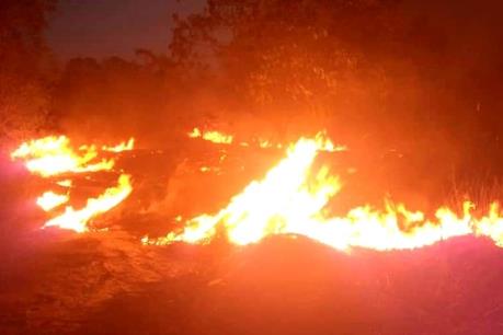 Cháy rừng lan rộng tại miền Nam Brazil