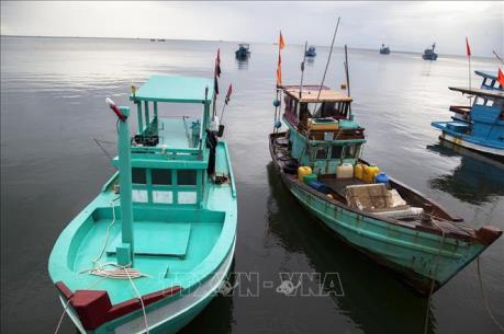 Khắc phục "thẻ vàng" IUU: Quản lý giám sát chặt hành trình tàu cá