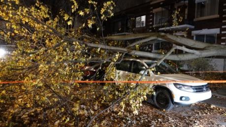 Canada: Bão lớn quét qua Quebec gây mất điện trên diện rộng