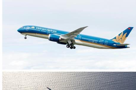 Liên doanh Vietnam Airlines và Air France đạt hơn nửa triệu lượt hành khách