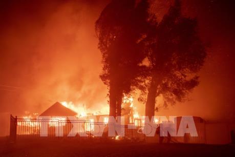 Tranh cãi giữa Tổng thống Trump và Thống đốc California về các vụ cháy rừng