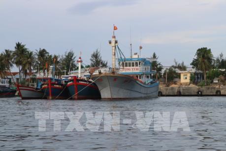 Áp thấp nhiệt đới có khả năng mạnh lên thành bão