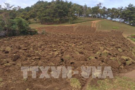 Lâm Đồng điều tra vụ 2.000m2 đất rừng trong Vườn Quốc gia Bidoup bị cày xới