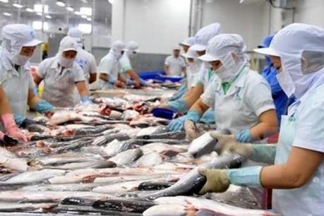 Lý do cá tra chưa được tiêu dùng phổ biến tại thị trường nội địa