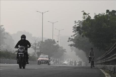 Lốp xe phế thải: Mối nguy hiểm đang rình rập môi trường