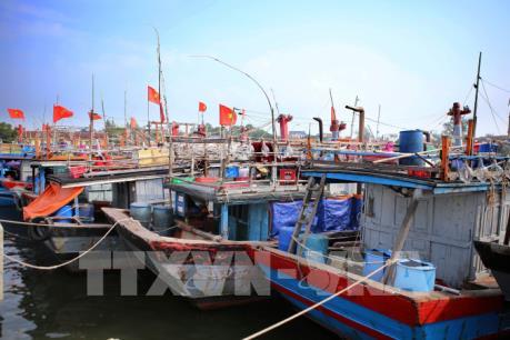 Tin mới nhất về bão số 6 và dự báo thời tiết hôm nay 8/11