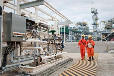 PVN về đích năm 2019 cả doanh thu, lợi nhuận và nộp ngân sách