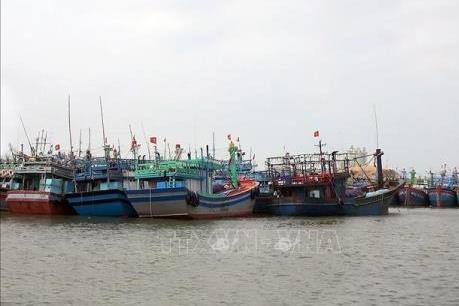 Dự báo thời tiết 3 ngày tới: Từ Quảng Ngãi đến Khánh Hòa ảnh hưởng trực tiếp bão số 6