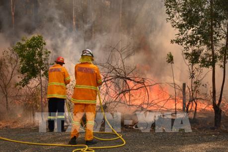 Cháy rừng tại thành phố Adelaide của Australia