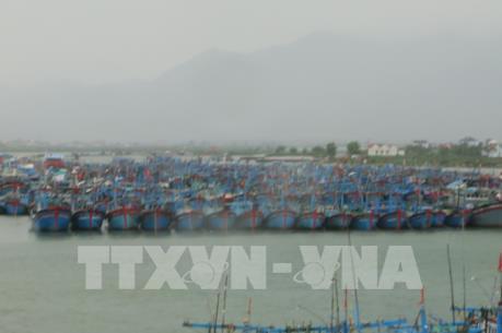 Bộ Giao thông Vận tải ban hành công điện khẩn ứng phó với cơn bão số 6