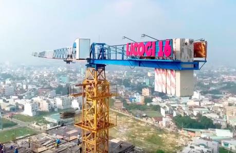 Licogi 16 trả cổ tức tỷ lệ 5% cổ phiếu