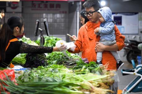 Kinh tế Trung Quốc có thể tiếp tục giảm tốc trong quý IV/2019