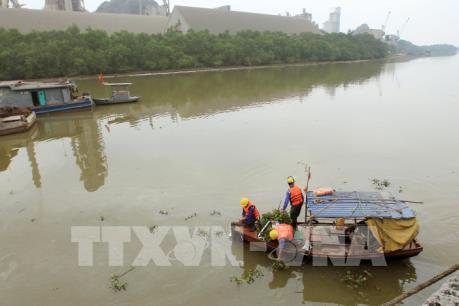 Sự cố tại Cty Xi măng Chinfon Hải Phòng: Thu gom được 98% lượng dầu tràn