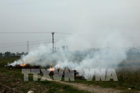 Hà Nội đốt rơm, rác gây nguy hại cho sức khoẻ con người