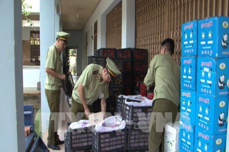 Phát hiện và tiêu hủy hơn 2 tấn trái cây nhập lậu