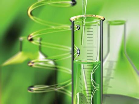 Thái Lan: Gia tăng giá trị cây trồng dùng chế tạo nhiên liệu sinh học