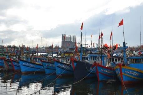 Không để tái diễn hoạt động trái phép tại cảng cá Thọ Quang và bán đảo Sơn Trà