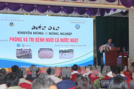 Chia sẻ kinh nghiệm nuôi cá nước ngọt