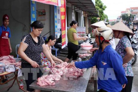 Tp. Hồ Chí Minh lấy ý kiến về mô hình sàn giao dịch lợn