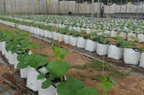 Tiêu chuẩn hợp tác xã có quy mô vốn lớn là gì?