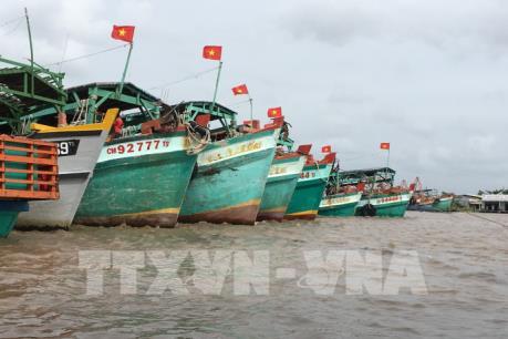 Tiền Giang: 100 % đội tàu đánh bắt xa bờ lắp thiết bị giám sát hành trình