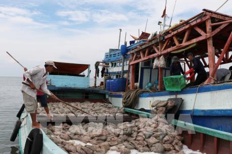 EC ấn tượng với kết quả khắc phục "thẻ vàng" IUU của Việt Nam