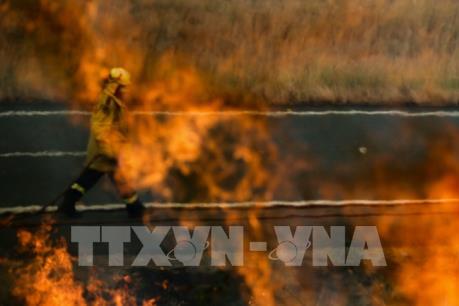 Mức độ cháy rừng ở Australia dần suy giảm