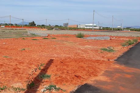Tạm dừng chuyển nhượng đất chuyển mục đích trái quy định tại Phan Thiết