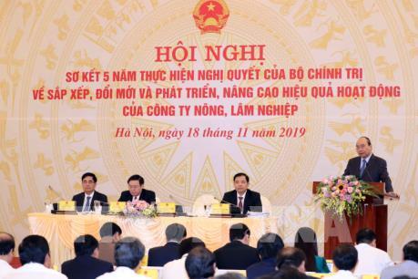 Xử lý nghiêm các trường hợp cố tình làm chậm trong sắp xếp các công ty nông, lâm nghiệp