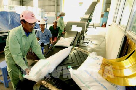 Việt Nam có gạo ngon nhất thế giới và việc xây dựng thương hiệu cho gạo Việt