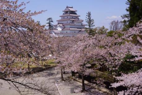 3 hành trình du xuân bằng Charter đẳng cấp