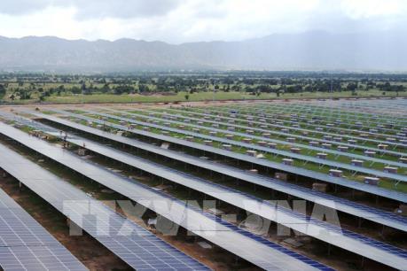 Phó Thủ tướng Trịnh Đình Dũng tiếp Tổng Giám đốc Công ty Mainstream (Ireland)