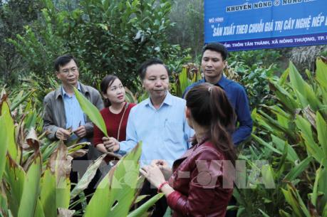 Kết nối cung - cầu sản phẩm nông nghiệp vùng Trung du miền núi phía Bắc