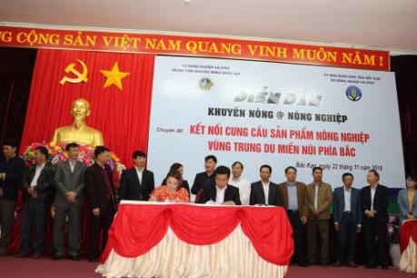 Big C ký kết với 9 đối tác, tạo sinh kế cho 200 hộ nông dân