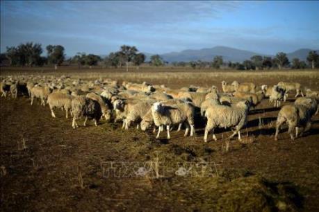 Biến đổi khí hậu và suy thoái kinh tế - hai thách thức lớn đối với Australia