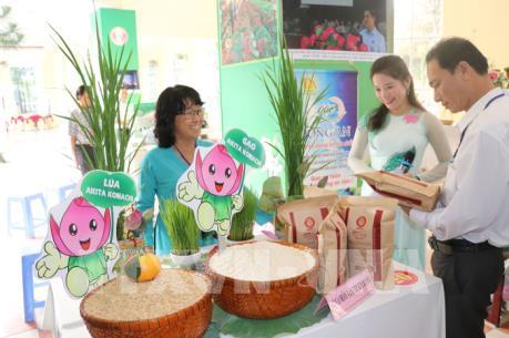 Gạo ST25 đạt giải nhất Hội thi “Gạo ngon Đồng Tháp" năm 2019