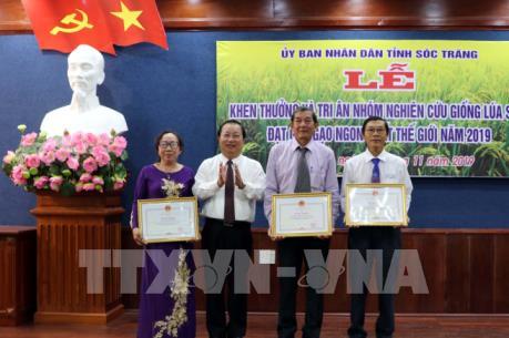 Giống lúa thơm ST25 được công nhận đặc cách