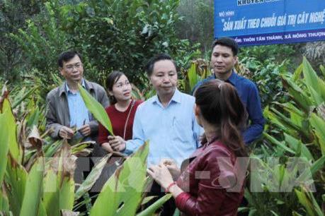 Thực hiện hiệu quả các dự án khuyến nông quốc gia