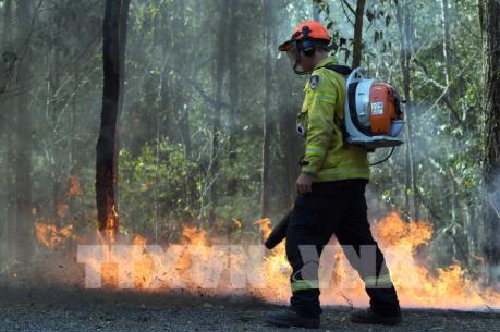 Tình nguyện viên chữa cháy lại cố tình gây cháy