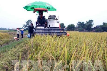 Cà Mau tái cơ cấu nông nghiệp - Bài cuối: Tập trung vào ngành hàng chủ lực
